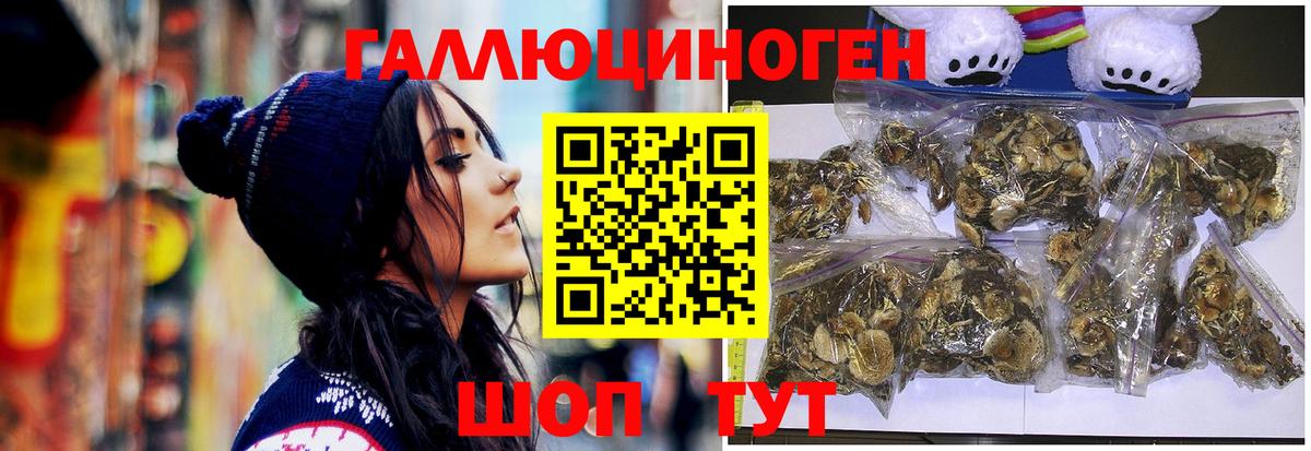 Галлюциногенные грибы прущие грибы  Вход с VPN  цены наркотик  Кизилюрт 